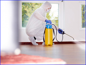 Профессиональное уничтожение насекомых в квартире и в доме